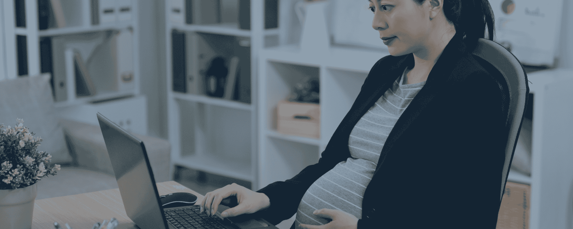 employment law 2025